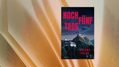 Auf dem Cover des Buches sieht man ein Gebirgsschloss vor einem hohen kahlen Berg.