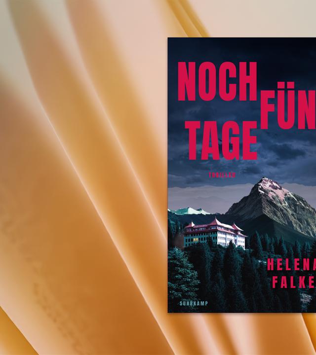 Auf dem Cover des Buches sieht man ein Gebirgsschloss vor einem hohen kahlen Berg.