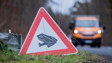 Schild weist auf die Krötenwanderung hin