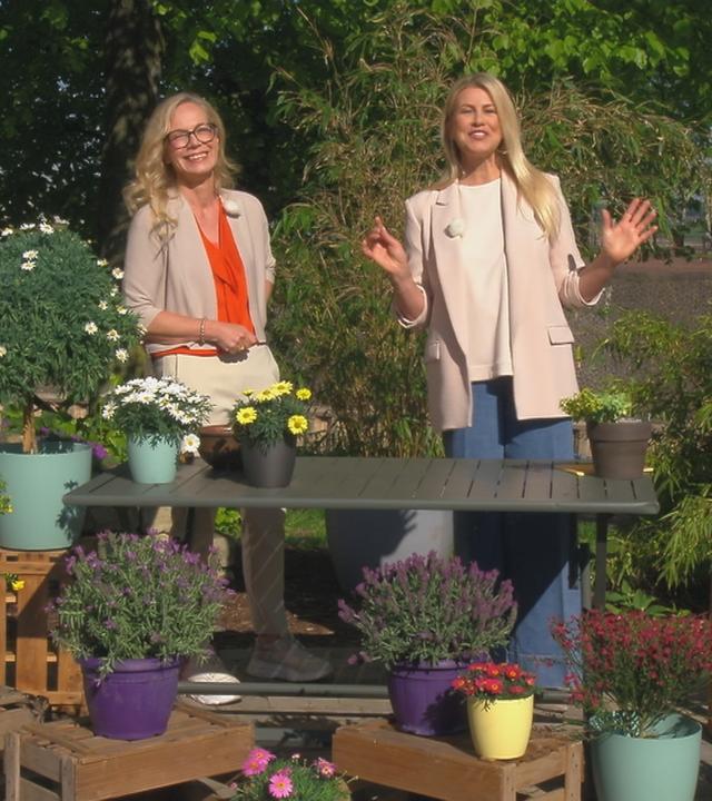 Anja Koenzen und Nadine Krüger stehen hinter einem Tisch voll mit Kübelpflanzen