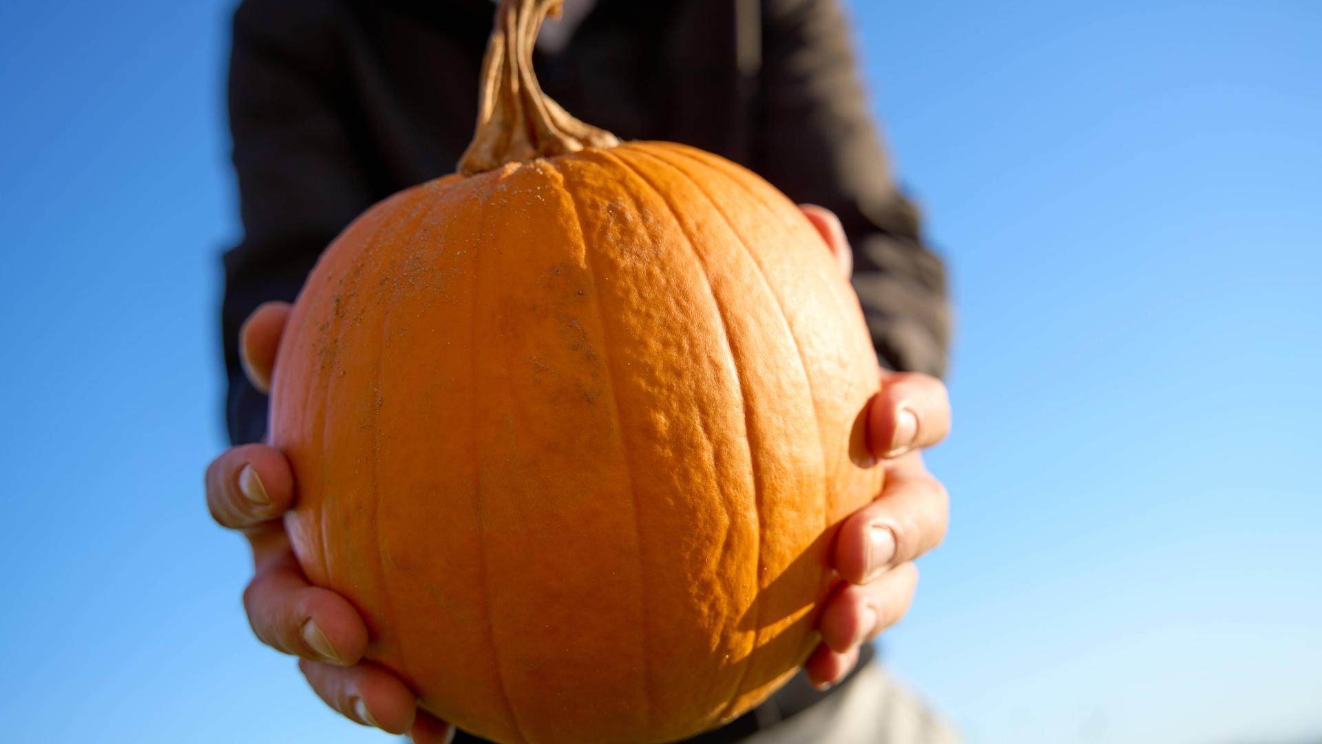 Ein Mann hält einen Kürbis in die Kamera vor strahlend blauem Himmel.