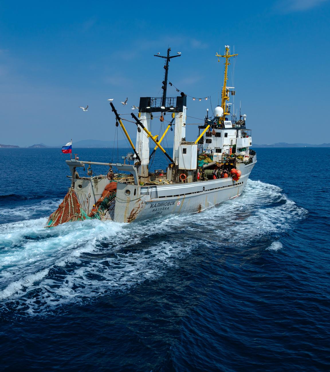 Ein Fischerei-Schiff fährt auf dem Meer und zieht ein Netz hinter sich her.