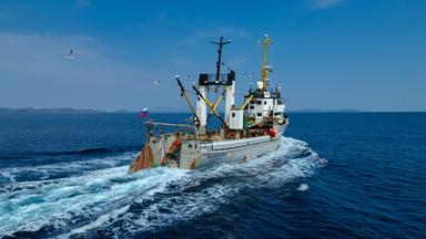 Ein Fischerei-Schiff fährt auf dem Meer und zieht ein Netz hinter sich her.