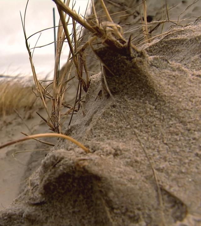 Küstenschutz-Sylt