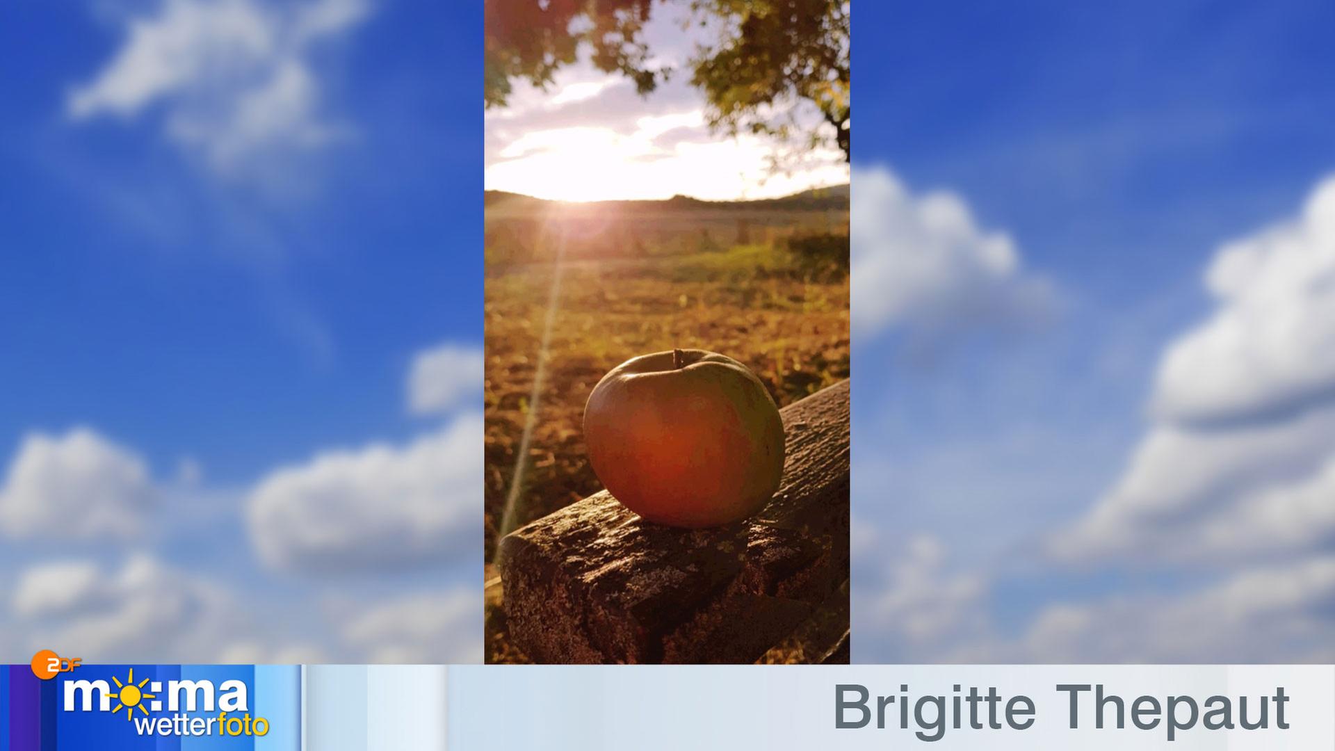 Gewinnerfoto vom 11. Oktober 2019