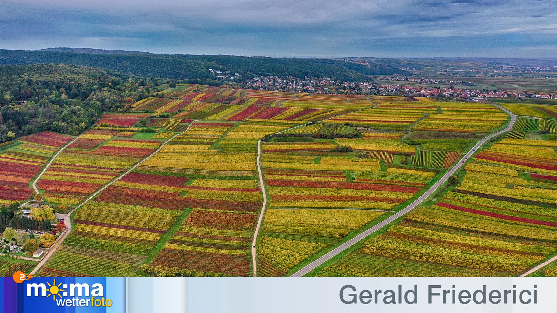 Gewinnerfoto vom 25. Oktober 2019