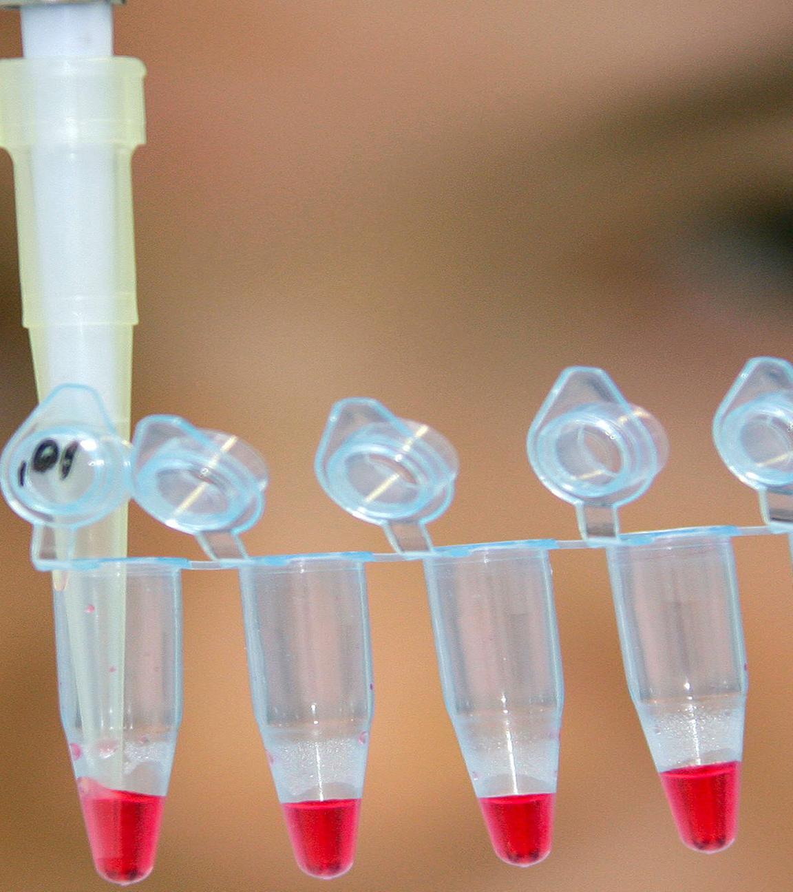 Eine Wissenschaftlerin in einem Labor