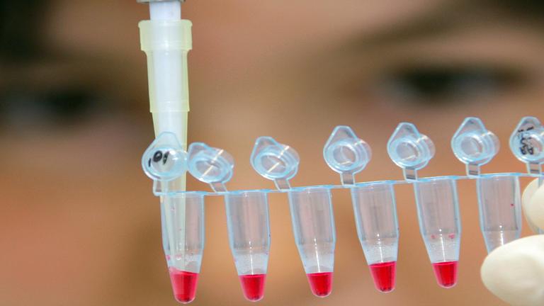 Eine Wissenschaftlerin in einem Labor