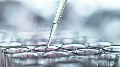 Eine Pipette über Reagenzgläsern