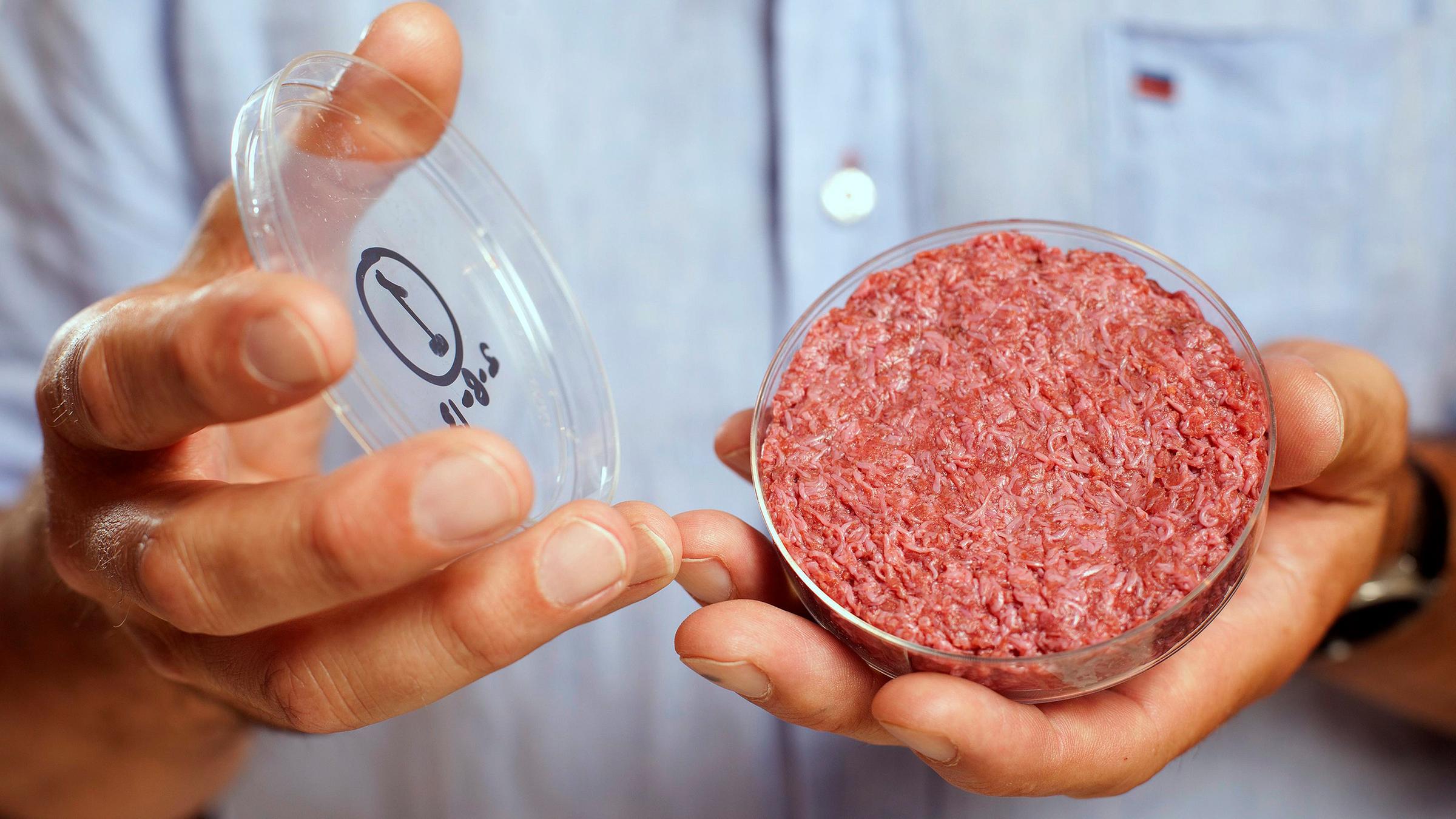 Gezüchtetes Fleisch in einer Petrischale