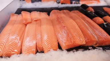 Lachs in verschiedenen Qualitäten und Zuschnitten liegt in der Auslage einer Fischtheke.