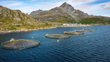 Eine Lachszucht mit mehreren Becken mit Fischen an der Küste in Norwegen.