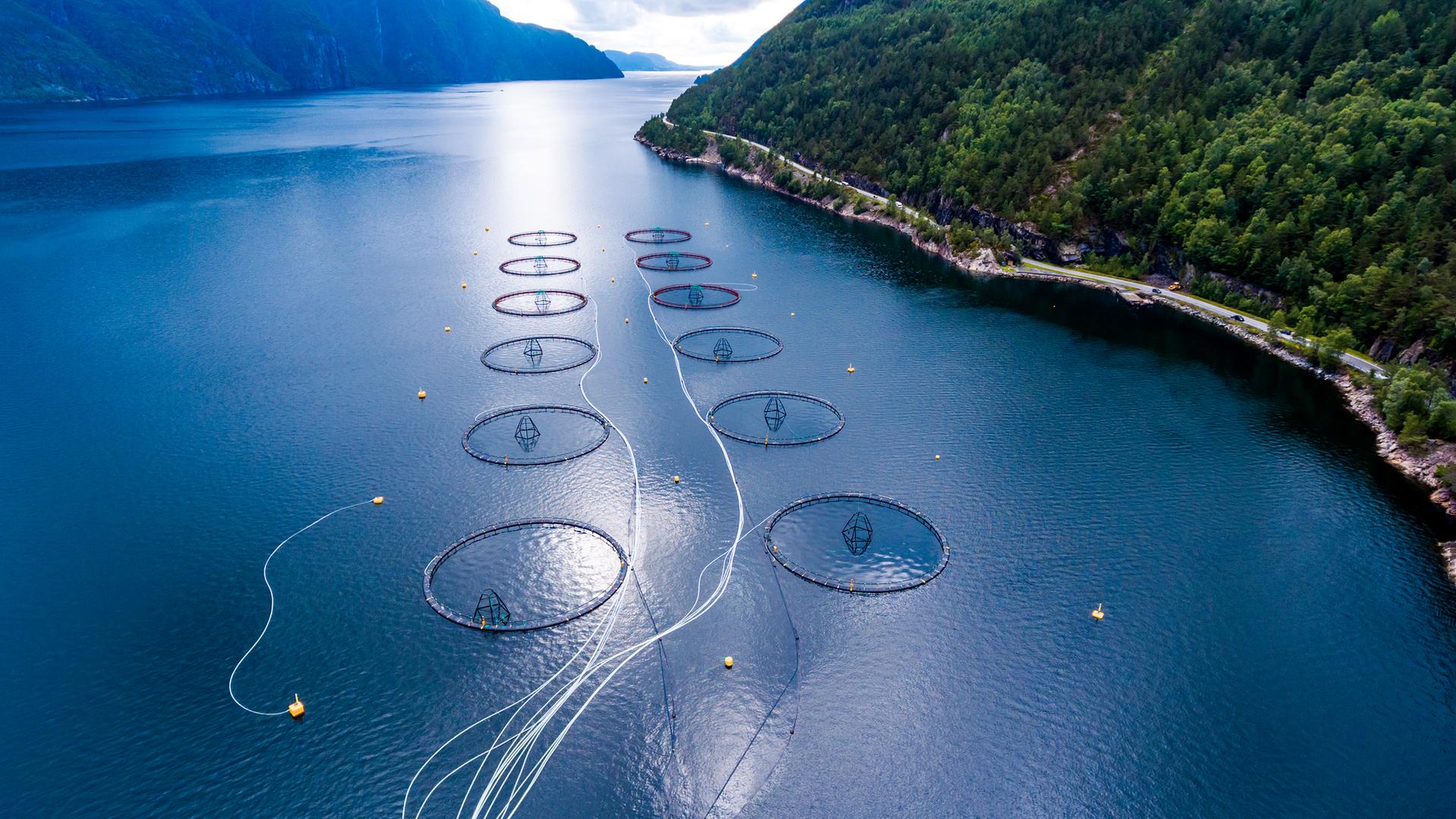Lachsfarm in Norwegen