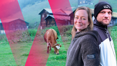 Hofnachfolge - Bleiben oder gehen?