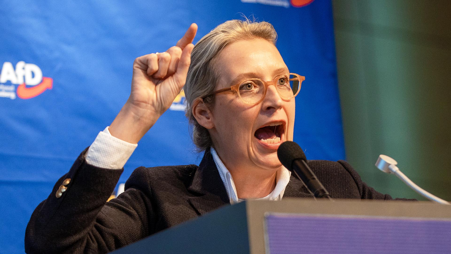 Alice Weidel, Bundessprecherin der AfD, spricht während des AfD-Landesparteitags in der Rottweiler Stadthalle zu Parteimitgliedern.
