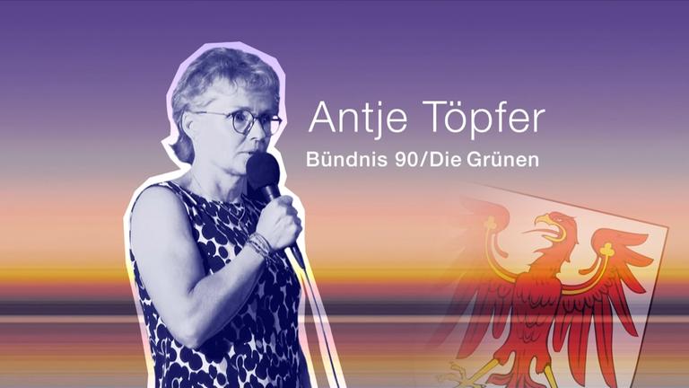 Steckbrief: Töpfer, Bündnis 90/Die Grünen