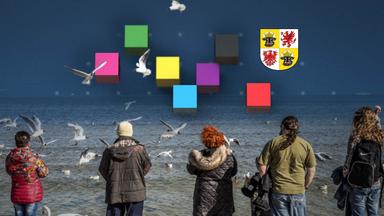 Menschen am Ostseestrand, den Blick aufs Meer und einen Schwarm Möwen gerichtet. Über ihnen sind Würfel in den Parteifarben sowie das Wappen Mecklenburg-Vorpommerns abgebildet.