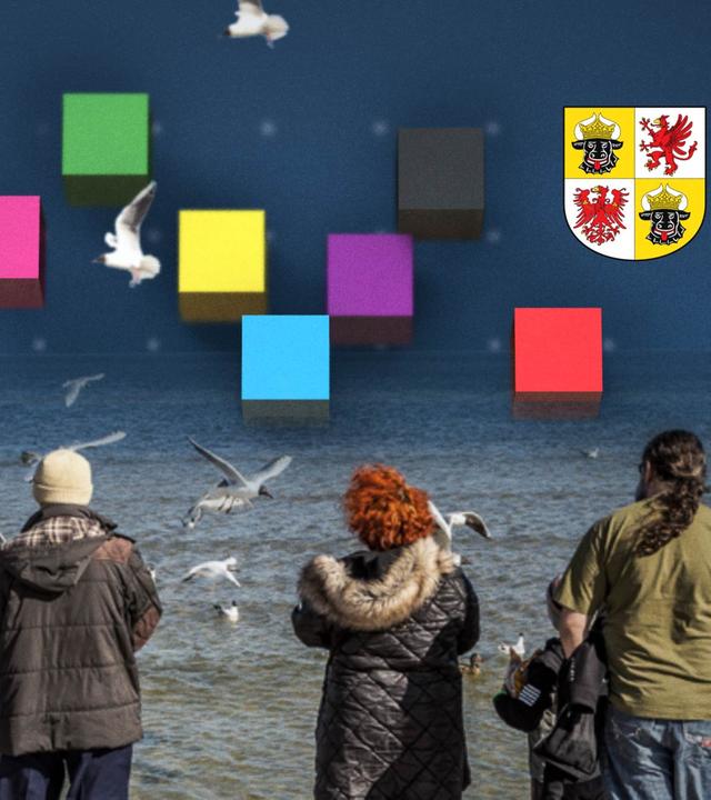 Menschen am Ostseestrand, den Blick aufs Meer und einen Schwarm Möwen gerichtet. Über ihnen sind Würfel in den Parteifarben sowie das Wappen Mecklenburg-Vorpommerns abgebildet.