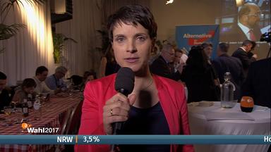 Petry: Wir sind zufrieden