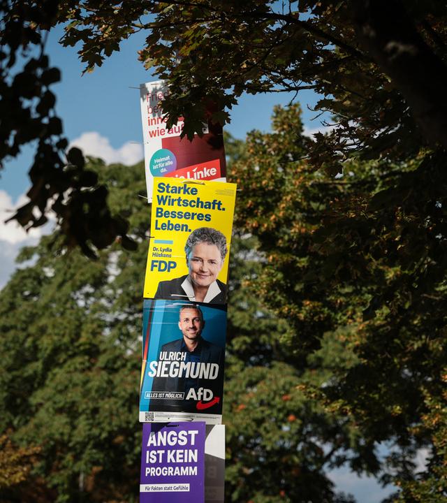 Wahlplakate der FDP, Linken, AfD und Volt in Magdeburg zur Landtagswahl in Sachsen-Anhalt - 2026