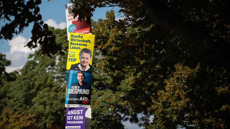 Wahlplakate der FDP, Linken, AfD und Volt in Magdeburg zur Landtagswahl in Sachsen-Anhalt - 2026