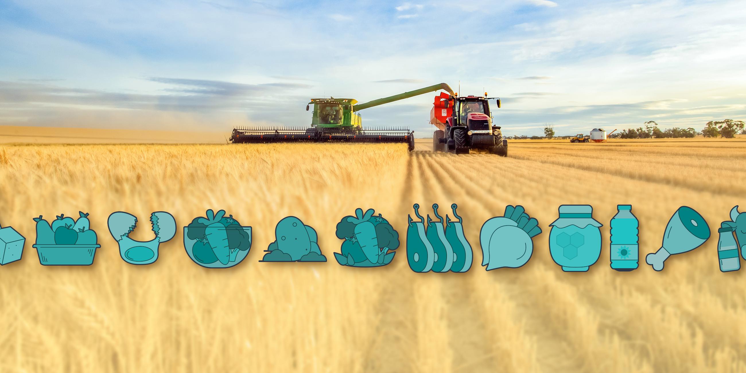 Landwirt auf seinem Feld.