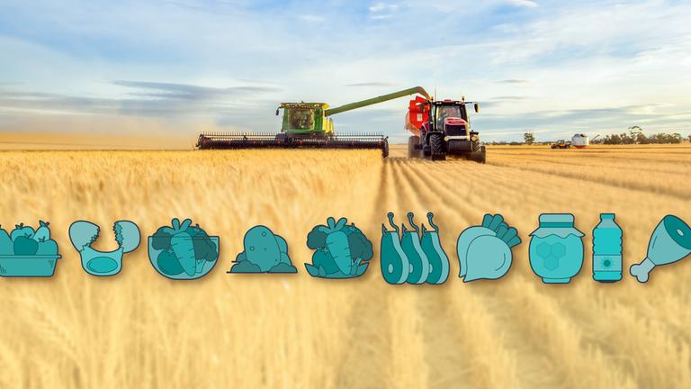 Landwirt auf seinem Feld.