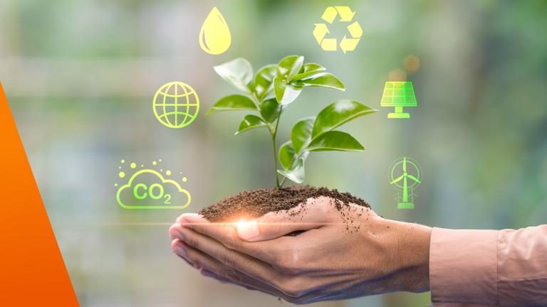 Eine kleine grüne Pflanze in der Hand