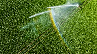 Ein Wassersprenger bewässert ein Feld im Landkreis Peine