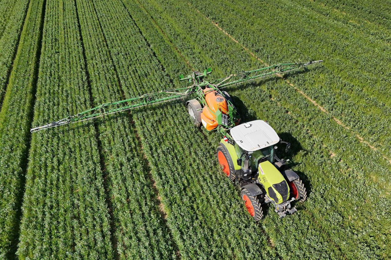 dünger gegen eisenmangel TerraDomi Eisendünger | Turbo-Rasendünger gegen Moos und  Mangelerscheinungen main image 1
