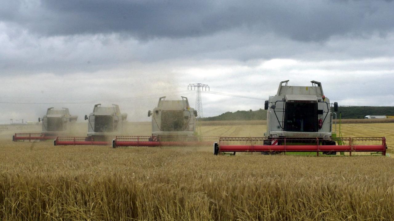 Mähdrescher bei der Ernte