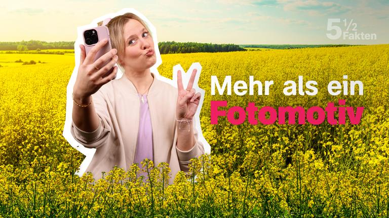 Landwirtschaft Fakten