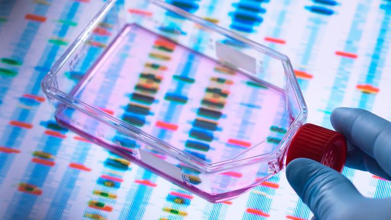 Wissenschaftler betrachtet Zellen in einem Kulturtopf mit einem DNA-Profil auf einem Bildschirm im Hintergrund zur Veranschaulichung der Genbearbeitung.