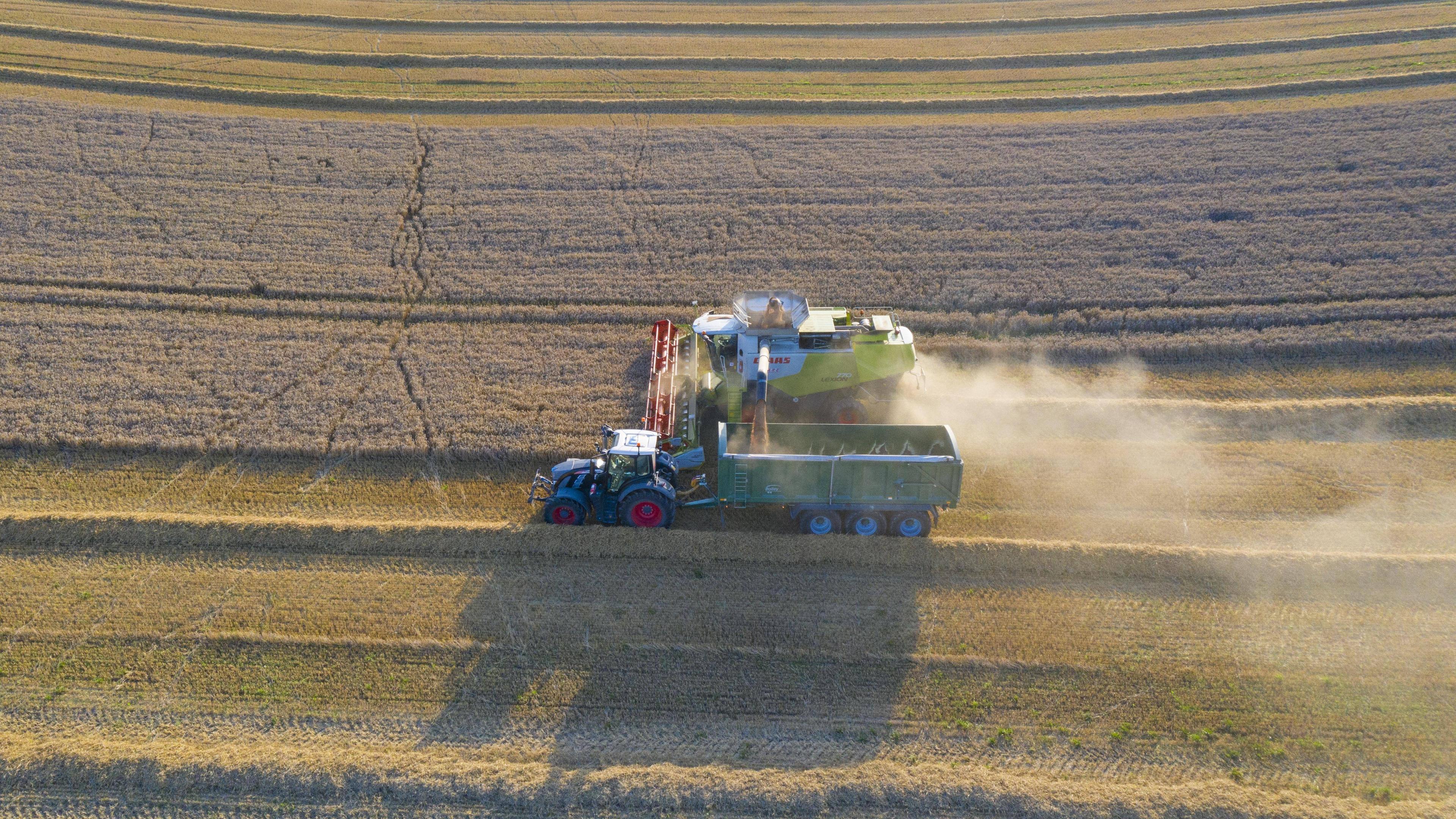 Typical: Landwirtschaft