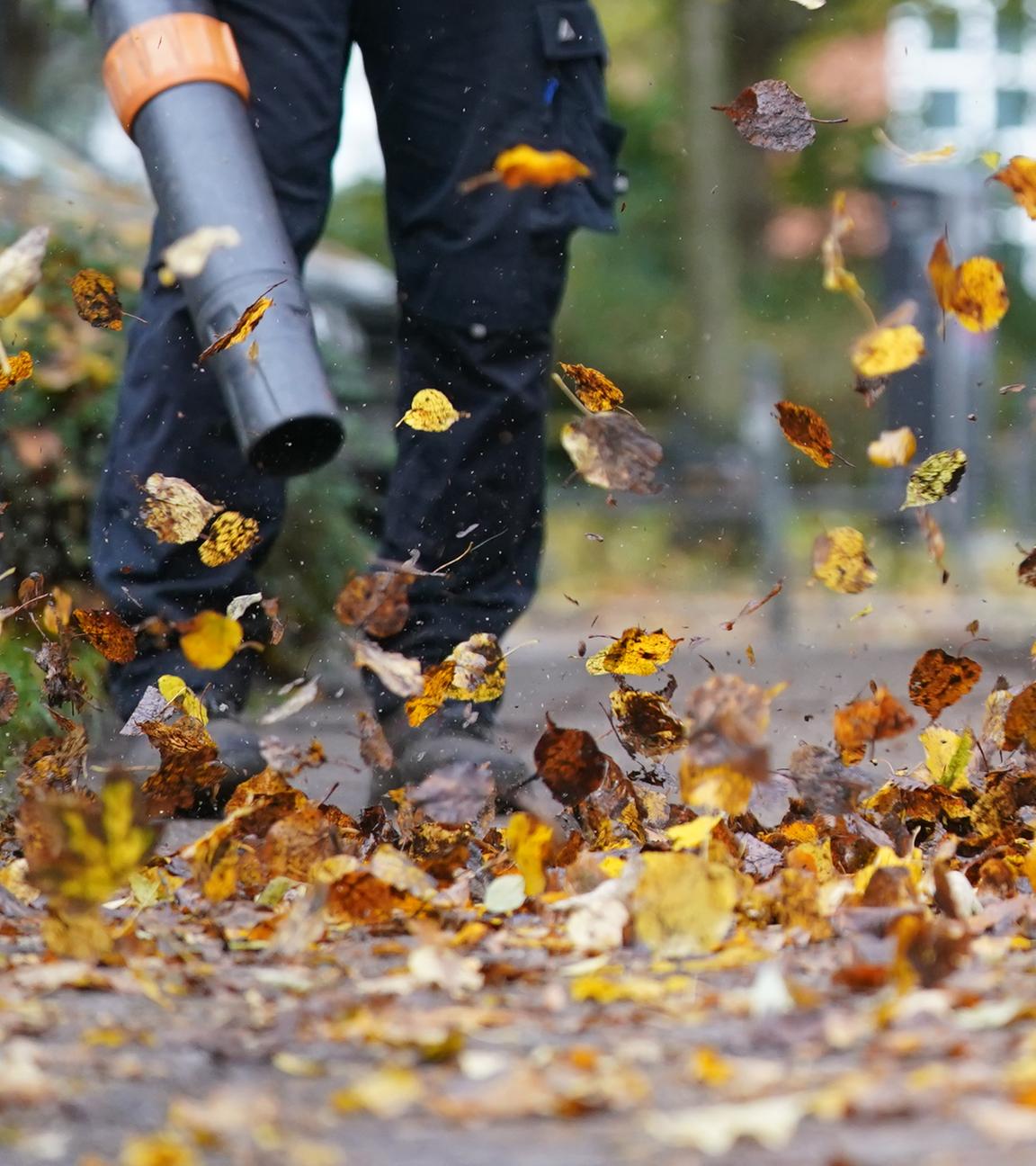 01.11.2023, Hamburg: Ein Laubbläser wirbelt Herbstblätter über den Bürgersteig hinweg.