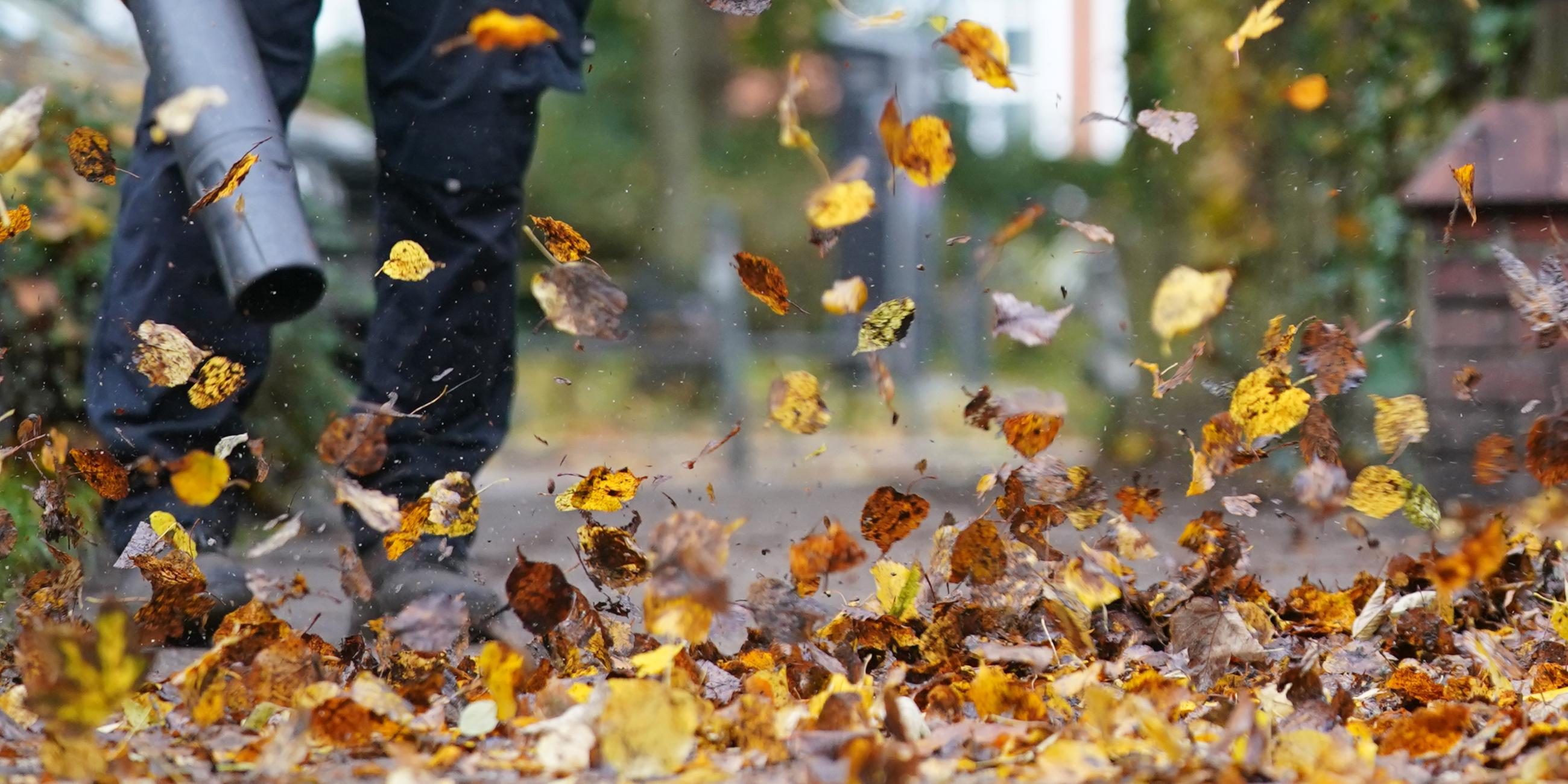 01.11.2023, Hamburg: Ein Laubbläser wirbelt Herbstblätter über den Bürgersteig hinweg.