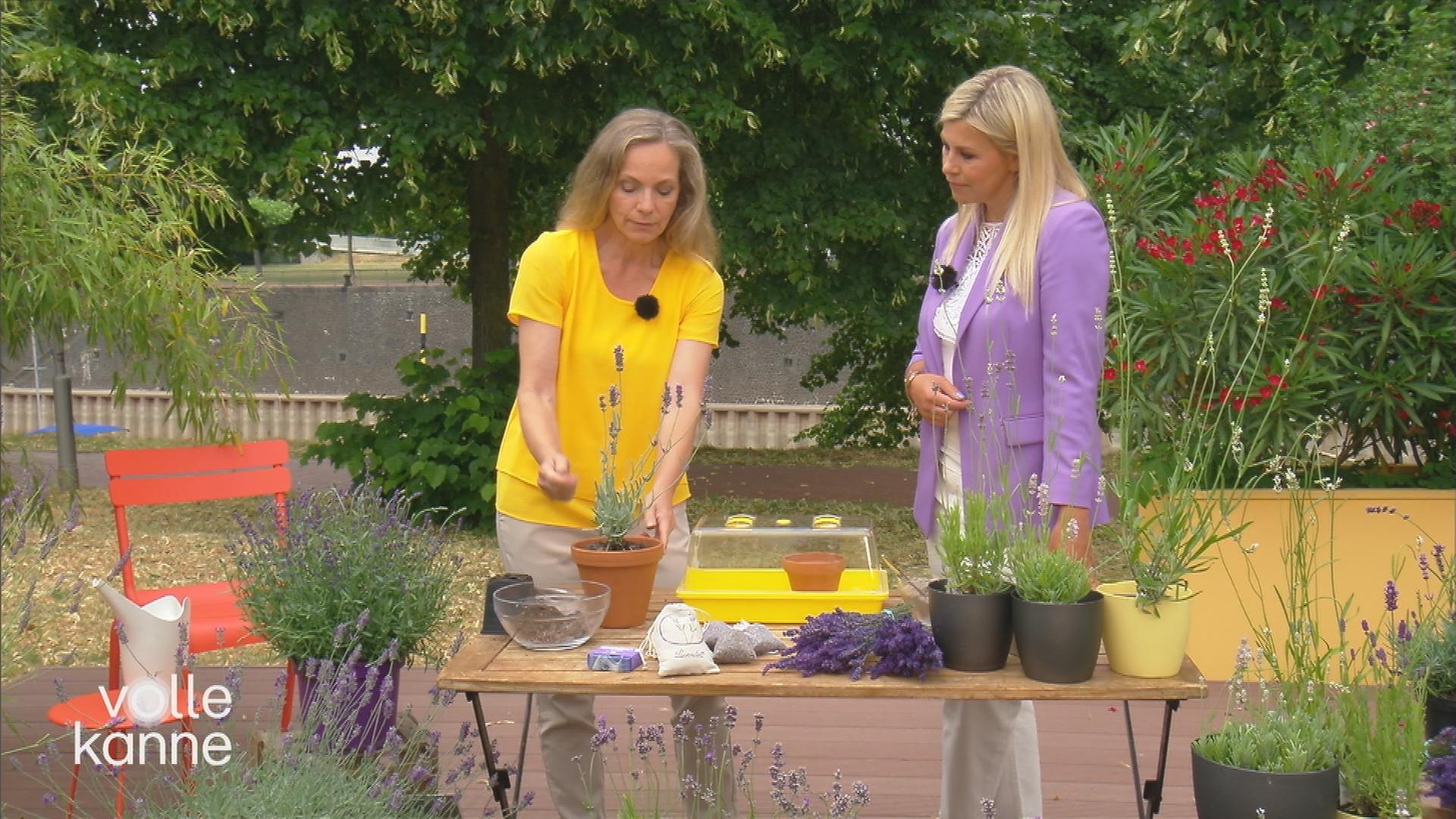 Anja Koenzen und Nadine Krüger im Volle-Kanne-Garten mit Lavendel