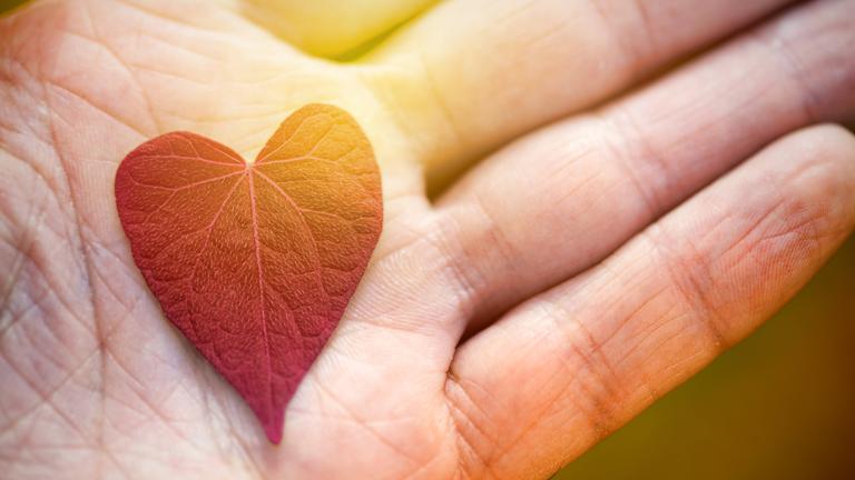 Hand hält Blatt in Herzform