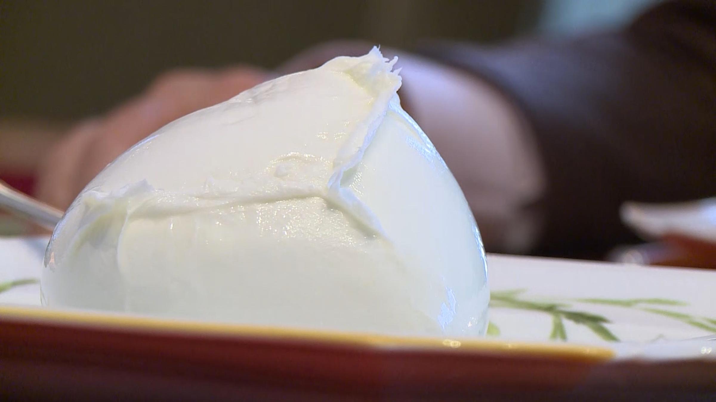 "Lebensmittel auf dem Prüfstand: Mozzarella – Kühe, Büffel und Mafiosi": Mozzarella auf Teller.