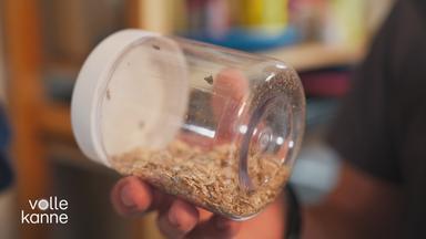 Ein Glas mit Müsli in dem sich eine Lebensmittelmotte aufhält
