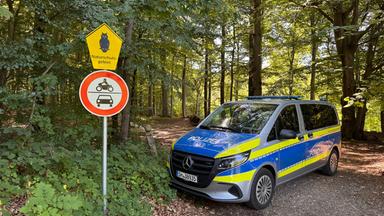 Ein Polizeiauto steht im Wald