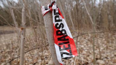 Rostock: Leichenfund in einem Waldstück