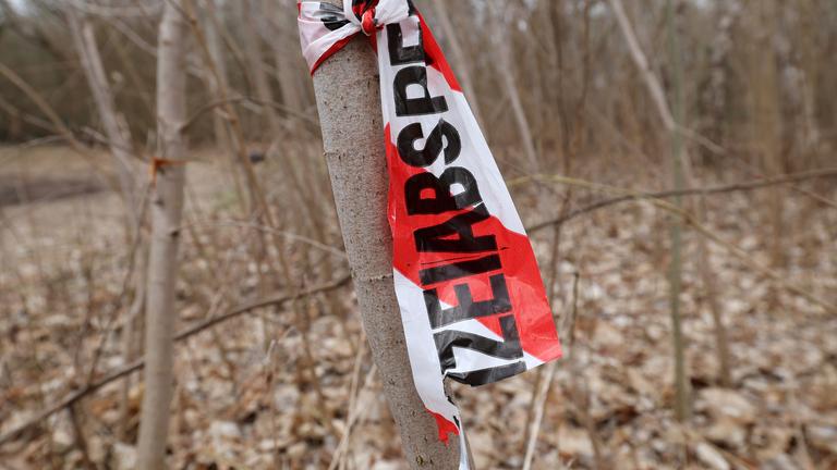 Rostock: Leichenfund in einem Waldstück