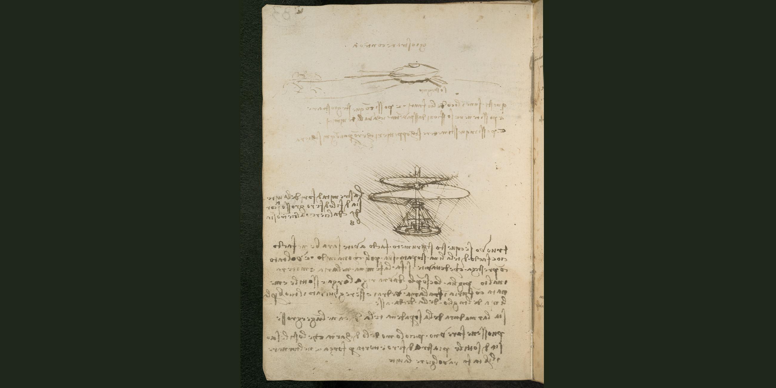 Leonardo da Vinci - Zeichnung