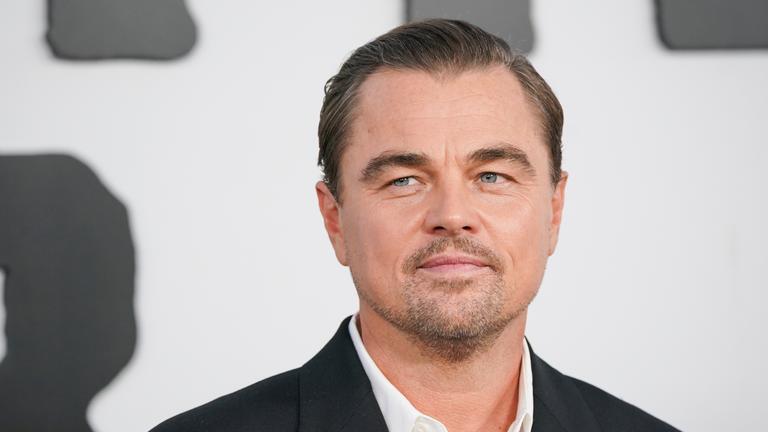 Leonardo DiCaprio auf dem roten Teppich