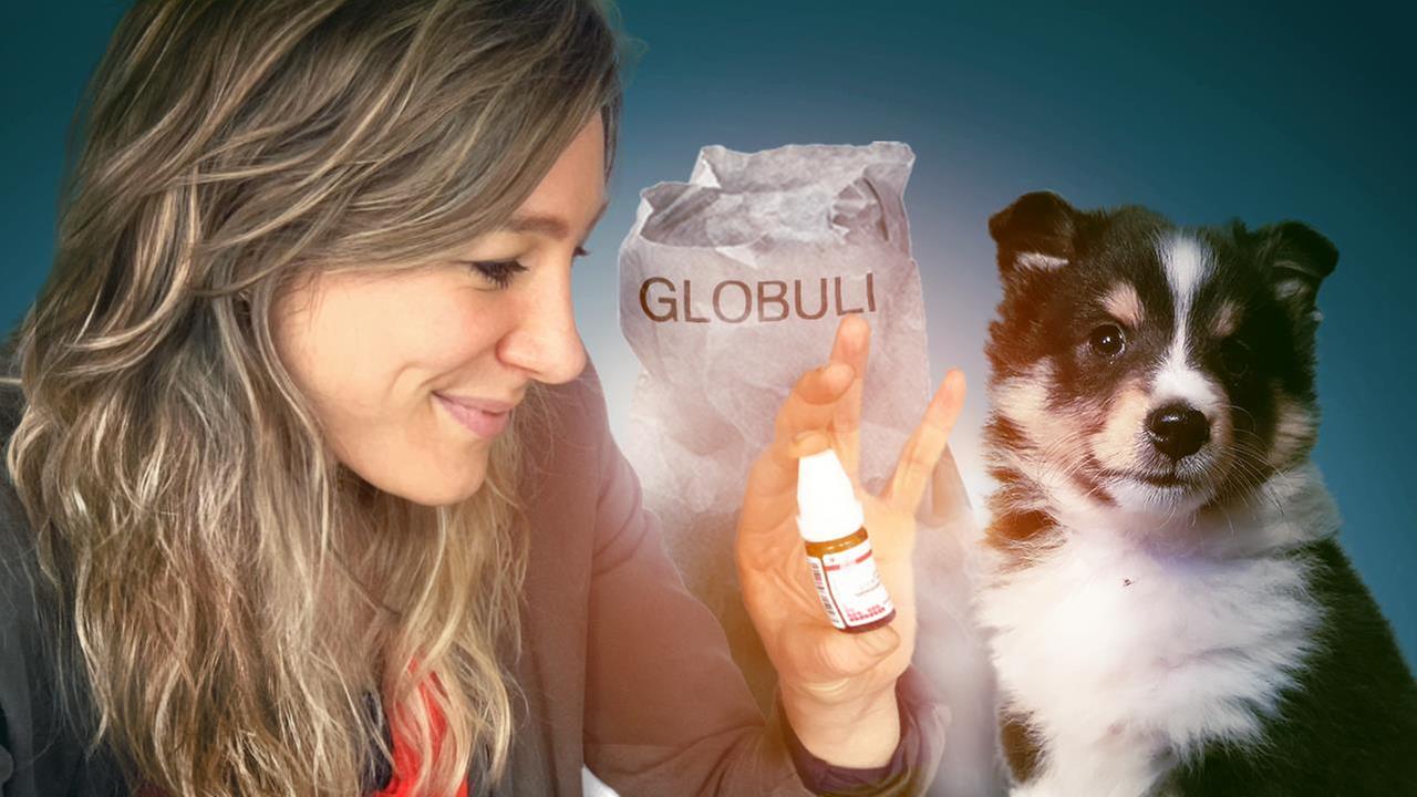 Grafik: Jasmina Neudecker 