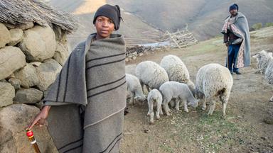 Zwei junge Schafhirten stehen in einer Decke gewickelt neben ihrer Herde in einer Bergregion im afrikanischen Lesotho.