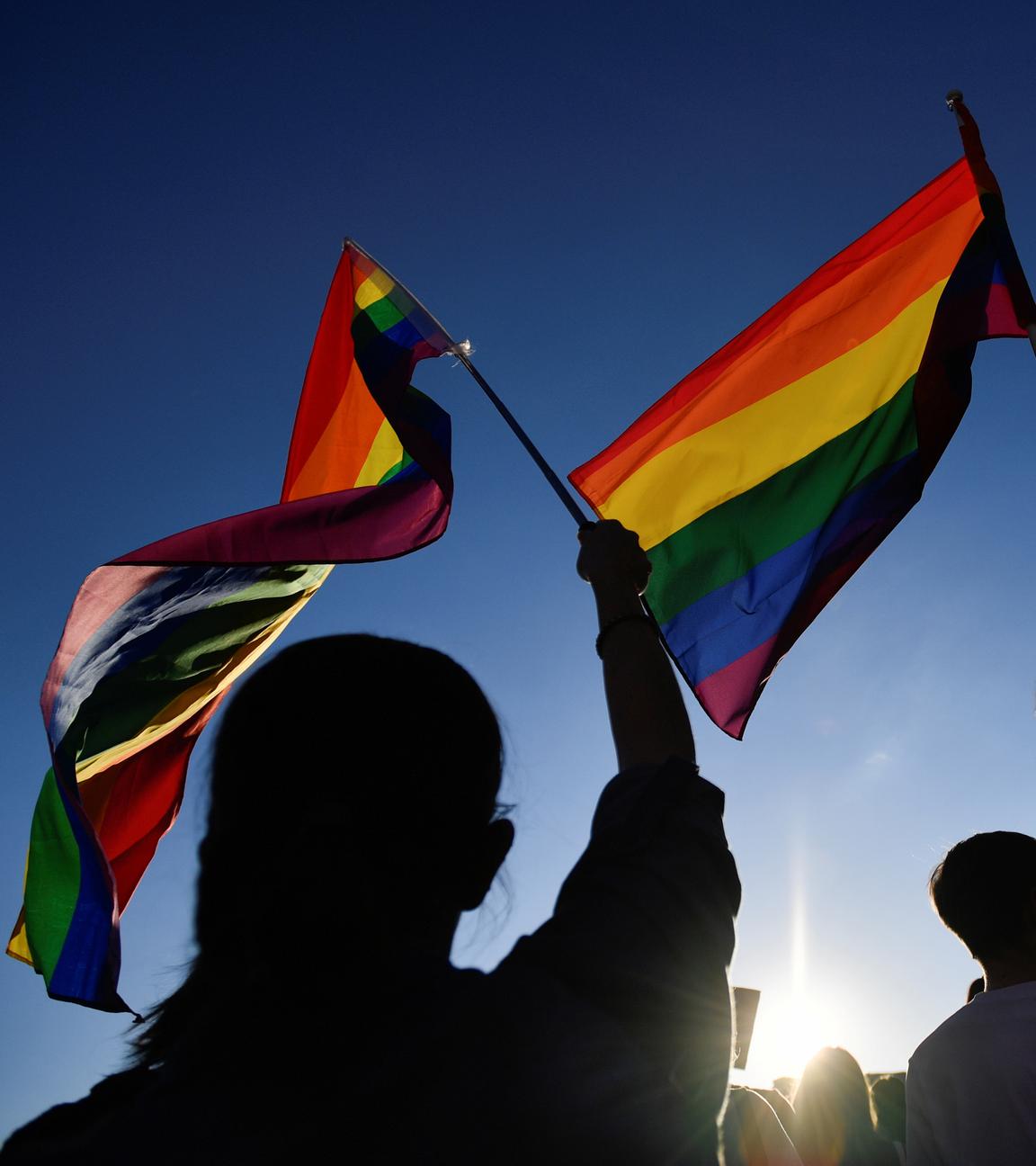 Regenbogenflaggen werden in die Luft gehalten. (Symbolbild)