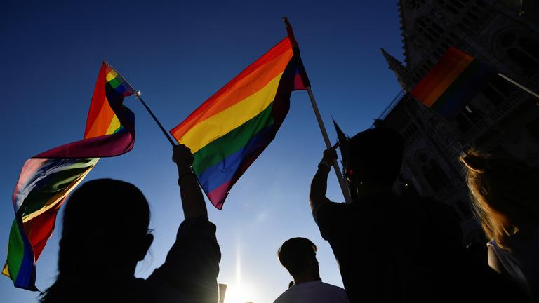Regenbogenflaggen werden in die Luft gehalten. (Symbolbild)
