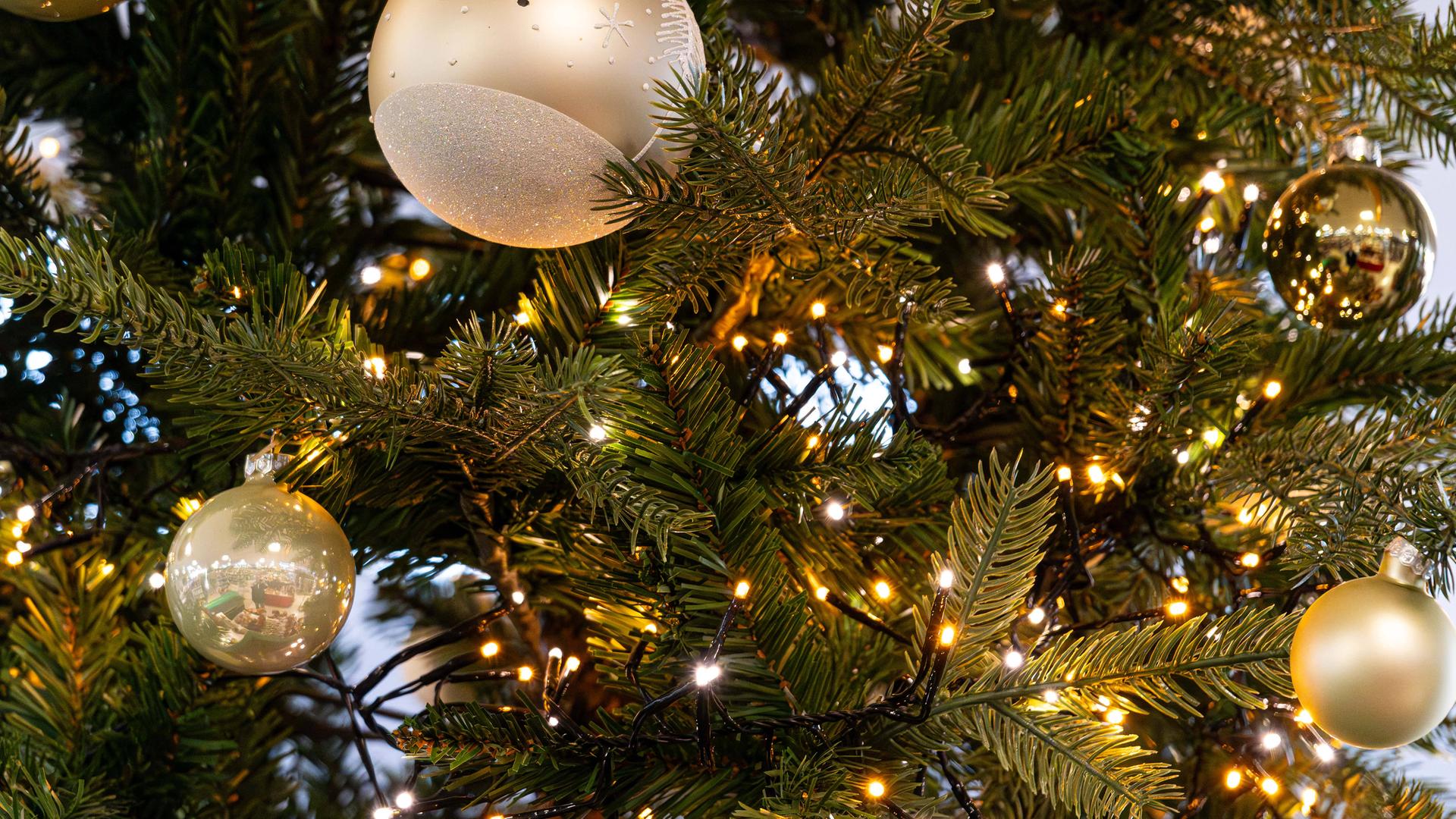 Ein Weihnachtsbaum ist mit einer leuchtenden Lichterkette geschmückt.